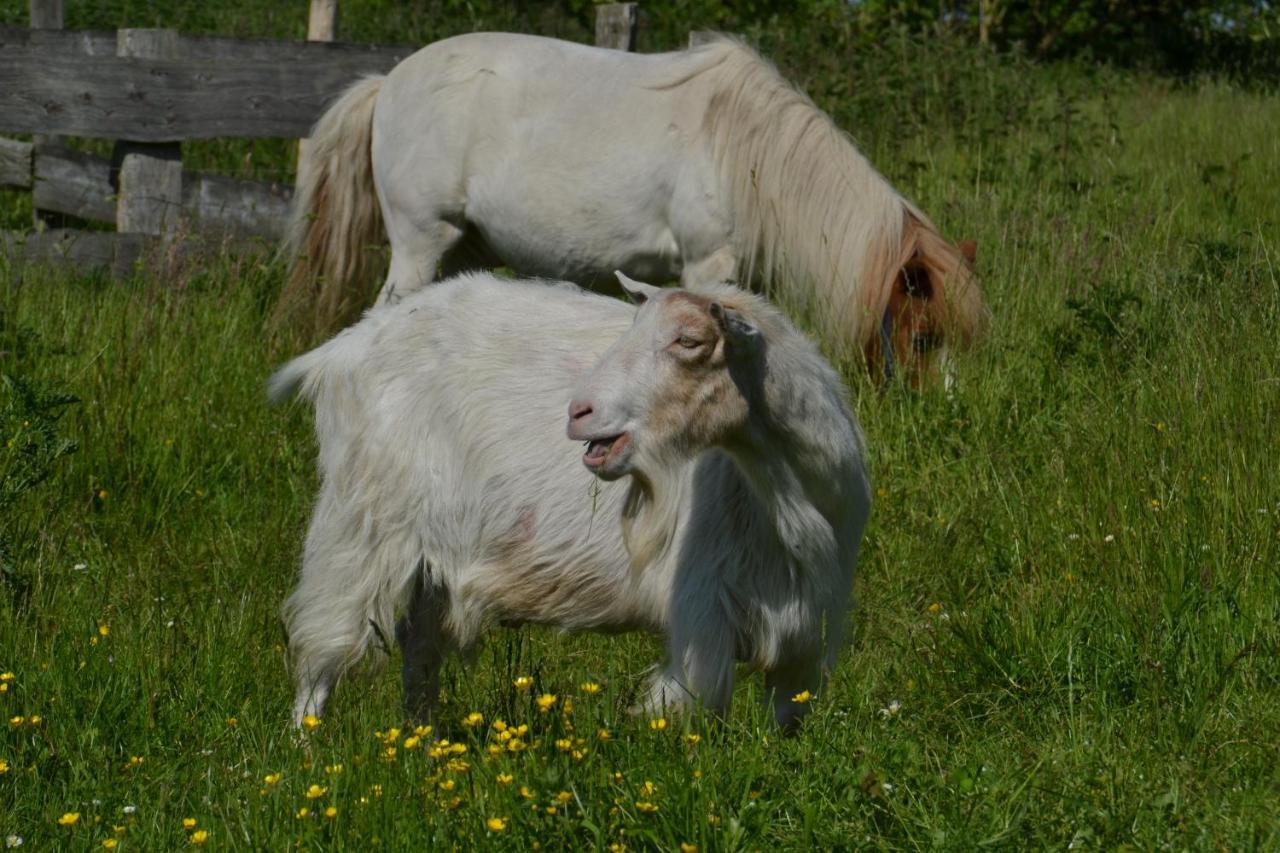 Ferienhof Felix Scharbeutz Bagian luar foto